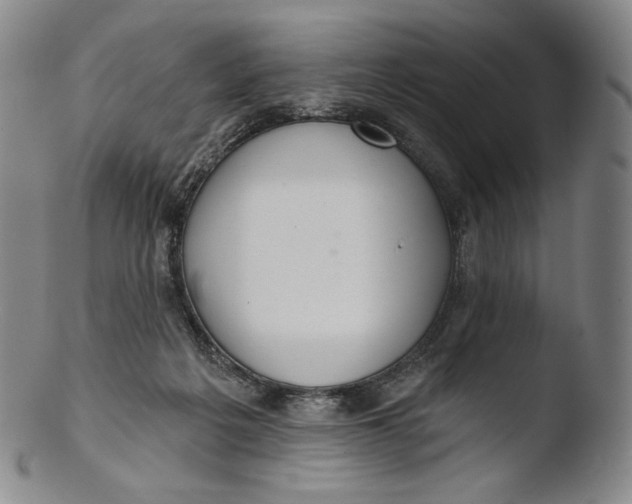 X0000103440217200809261801