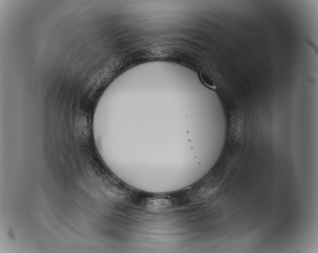 X0000103440220200809261801