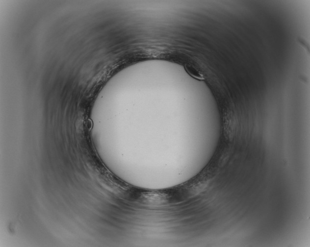 X0000103440221200809261801