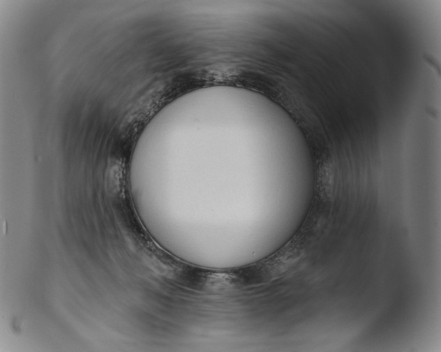 X0000103440222200809261801