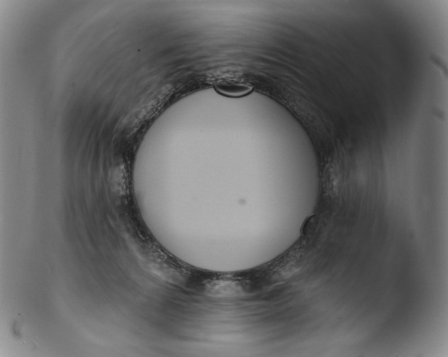 X0000103440224200809261801