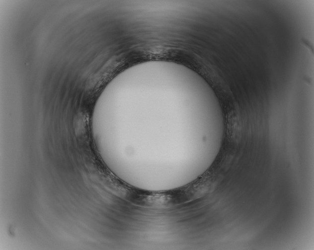 X0000103440225200809261801