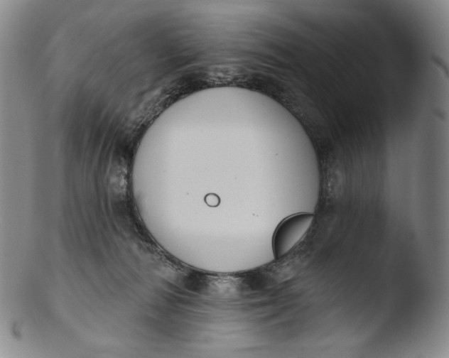 X0000103440226200809261801