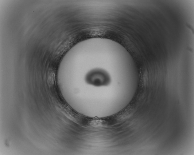 X0000103440227200809261801