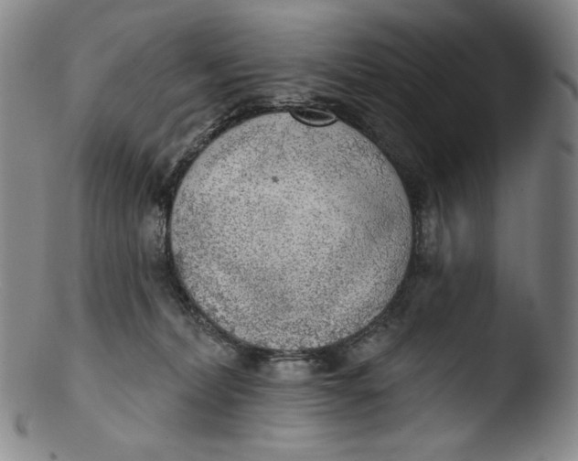 X0000103440228200809261801