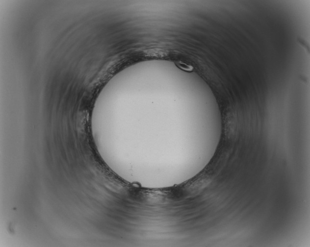 X0000103440229200809261801