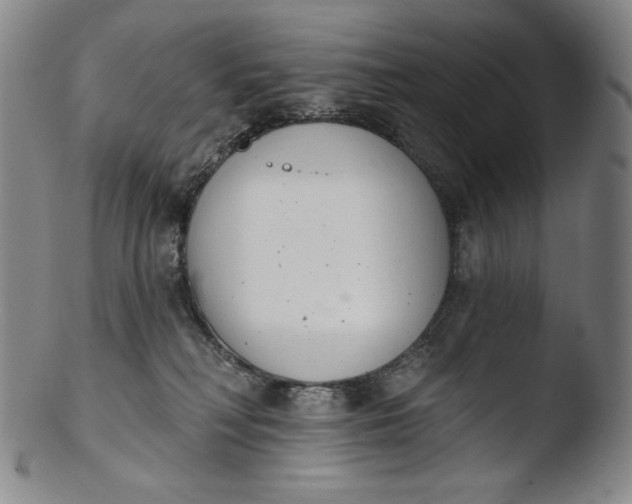 X0000103440230200809261801