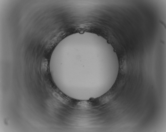 X0000103440231200809261801