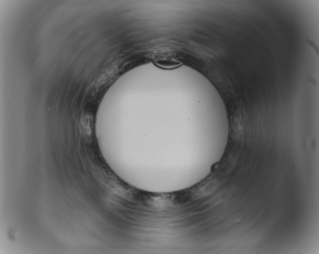 X0000103440232200809261801