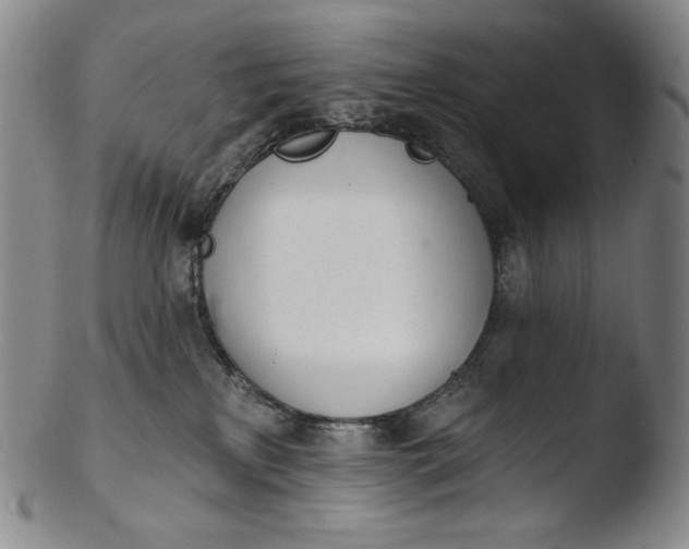 X0000103440233200809261801