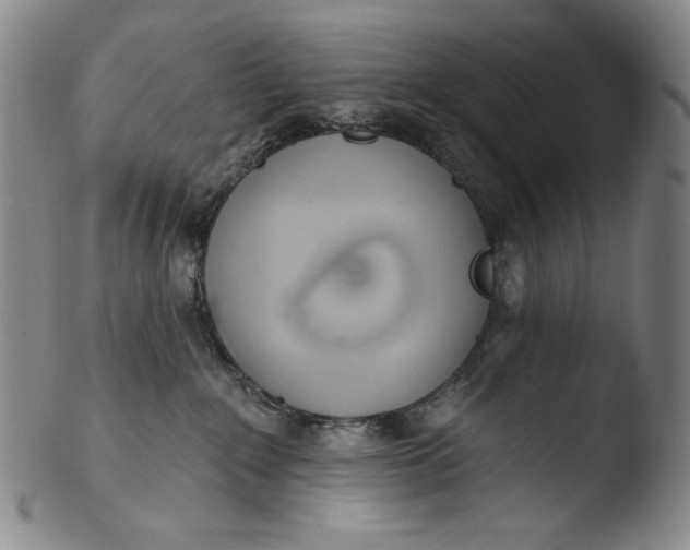 X0000103440235200809261801