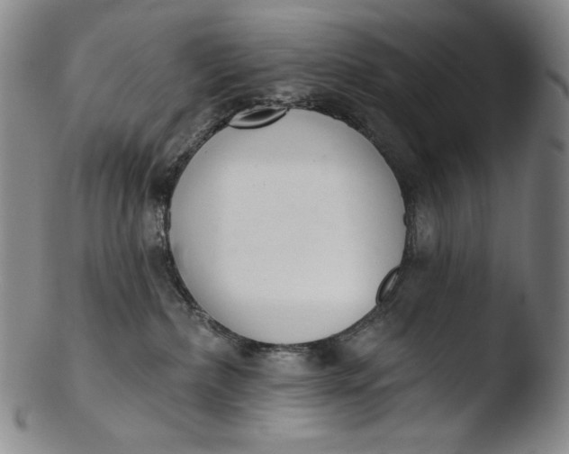 X0000103440236200809261801