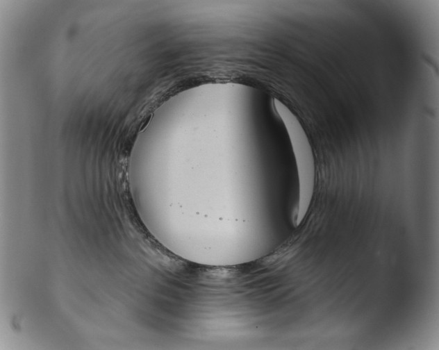 X0000103440237200809261801