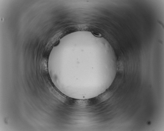X0000103440238200809261801