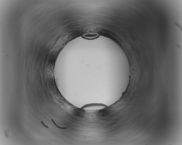 X0000103440240200809261801