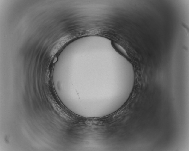 X0000103440242200809261800