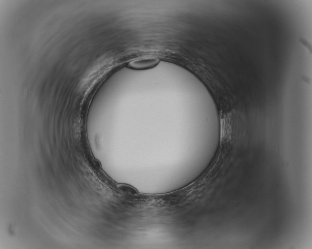 X0000103440243200809261800