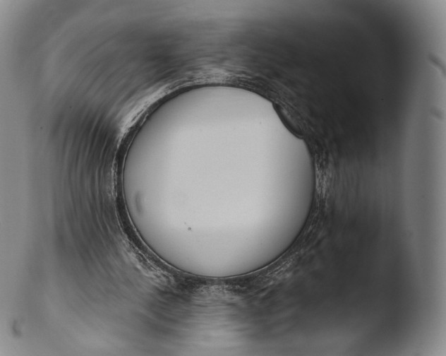 X0000103440244200809261800
