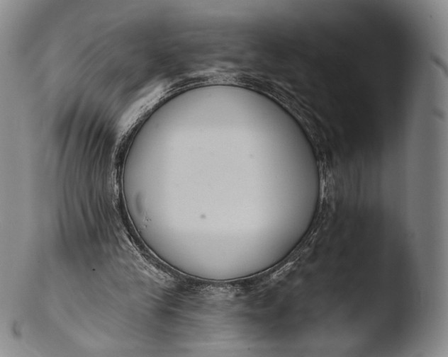 X0000103440245200809261800