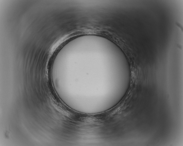 X0000103440246200809261800