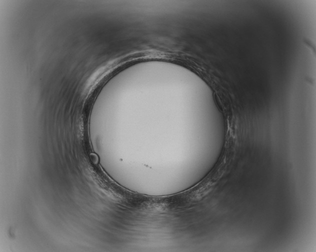 X0000103440247200809261800