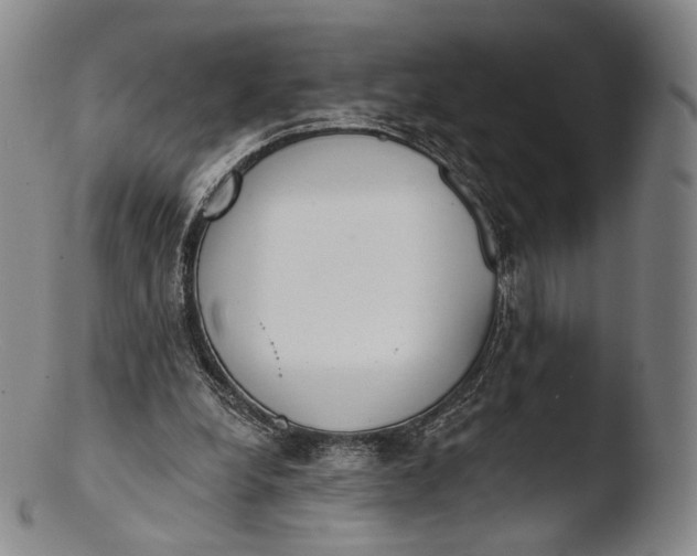 X0000103440248200809261800