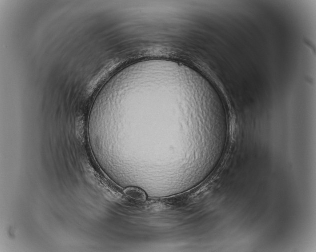 X0000103440249200809261800
