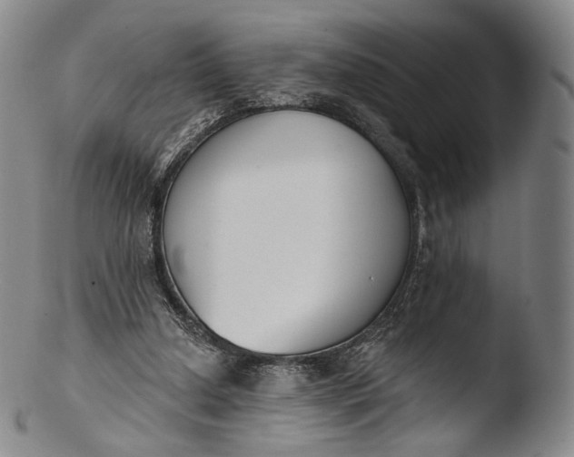 X0000103440250200809261800