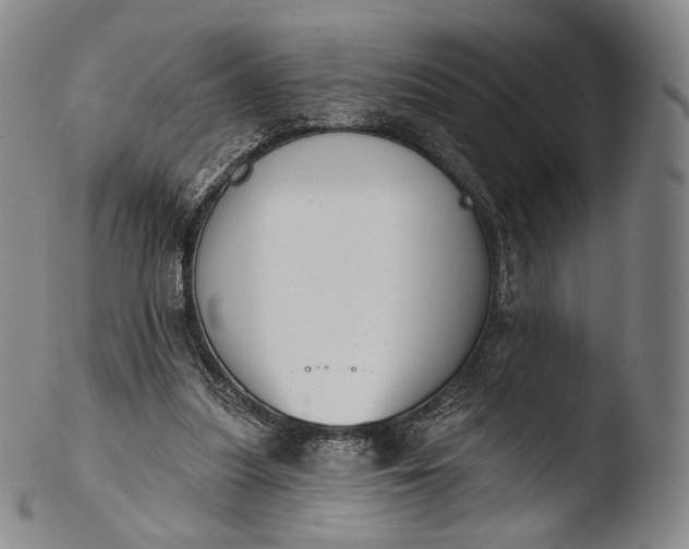 X0000103440251200809261800