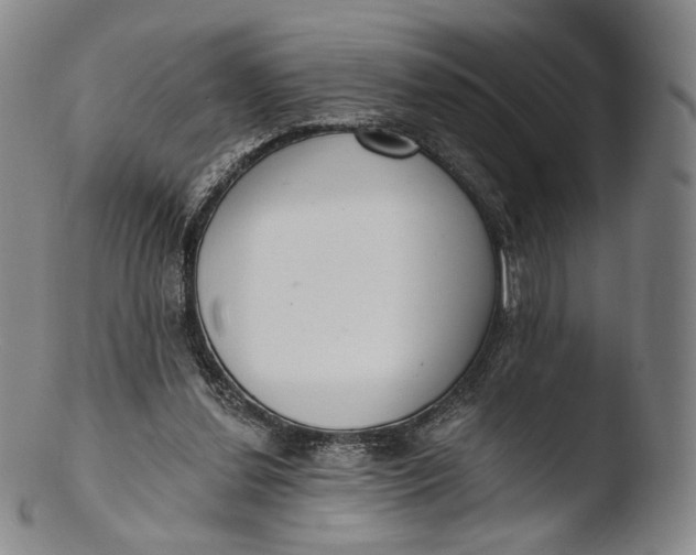 X0000103440252200809261800
