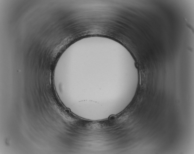 X0000103440253200809261800