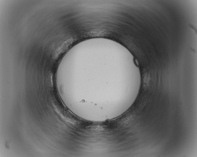 X0000103440254200809261800