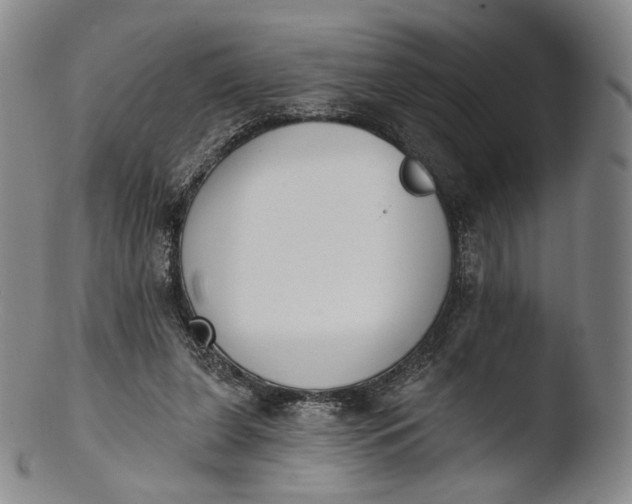 X0000103440255200809261800
