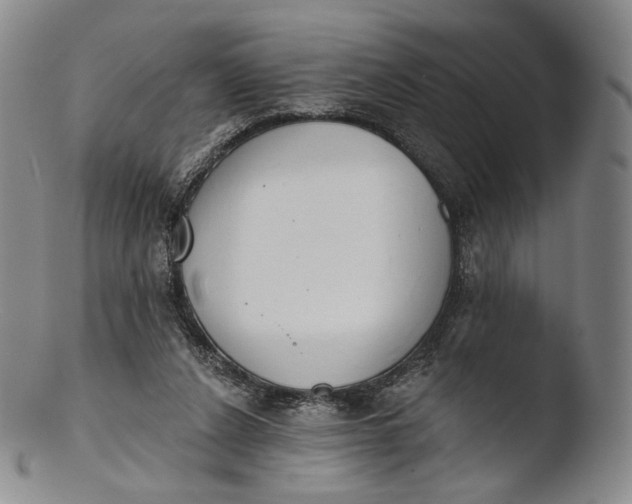 X0000103440256200809261800