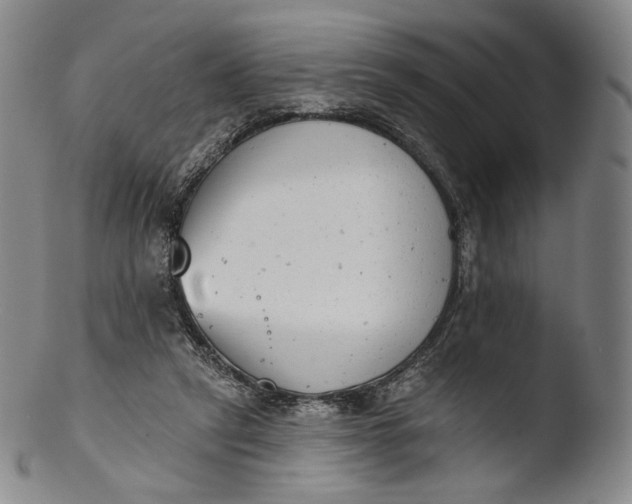 X0000103440257200809261800