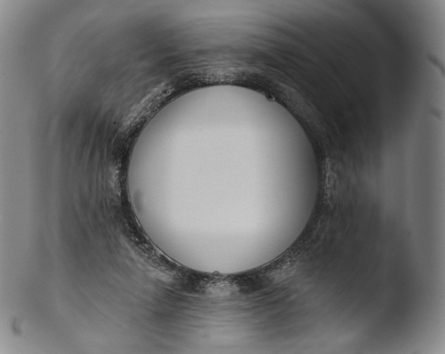 X0000103440258200809261800
