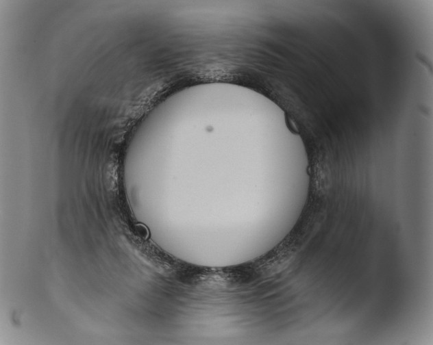 X0000103440259200809261800