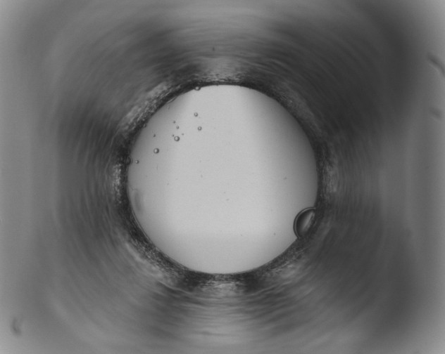 X0000103440260200809261800