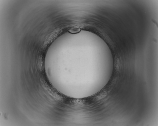 X0000103440261200809261800