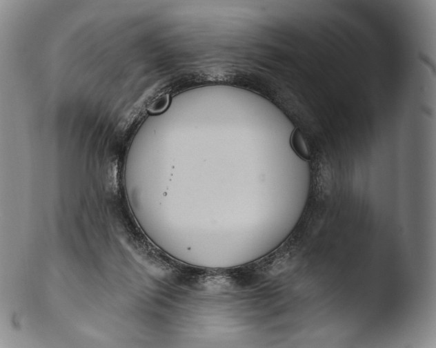 X0000103440262200809261800