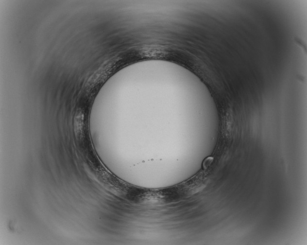 X0000103440263200809261800