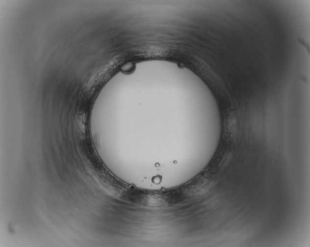 X0000103440264200809261800
