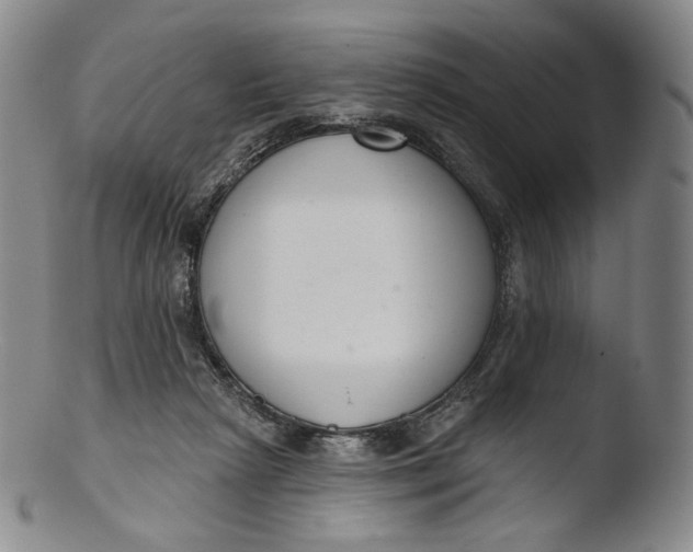 X0000103440265200809261800