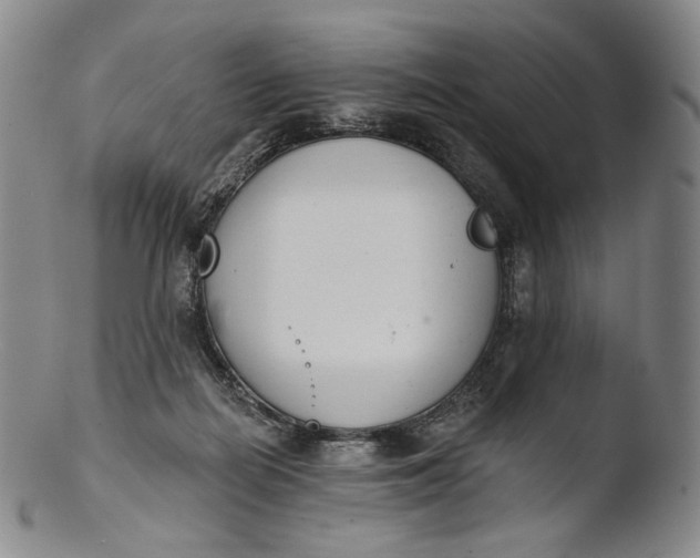 X0000103440266200809261800