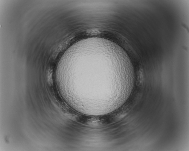 X0000103440267200809261800