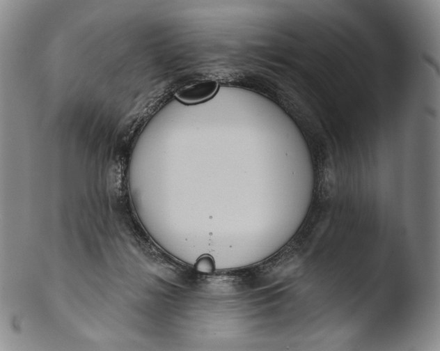 X0000103440268200809261800