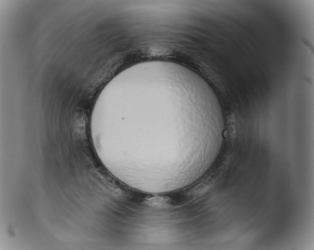 X0000103440269200809261800