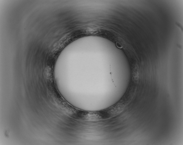 X0000103440270200809261800