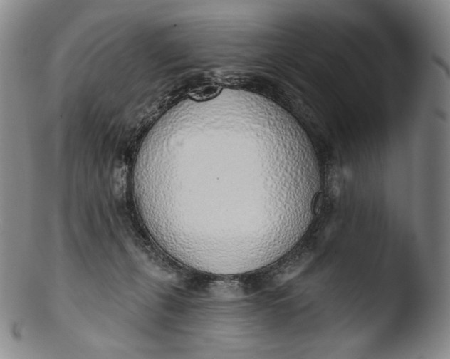 X0000103440271200809261800