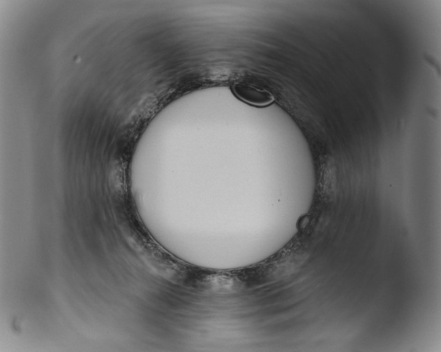 X0000103440272200809261800